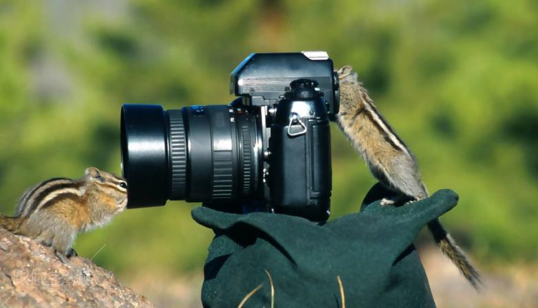 簡單的宣傳片拍攝剪輯的時候這些都是不能忽視的哦！