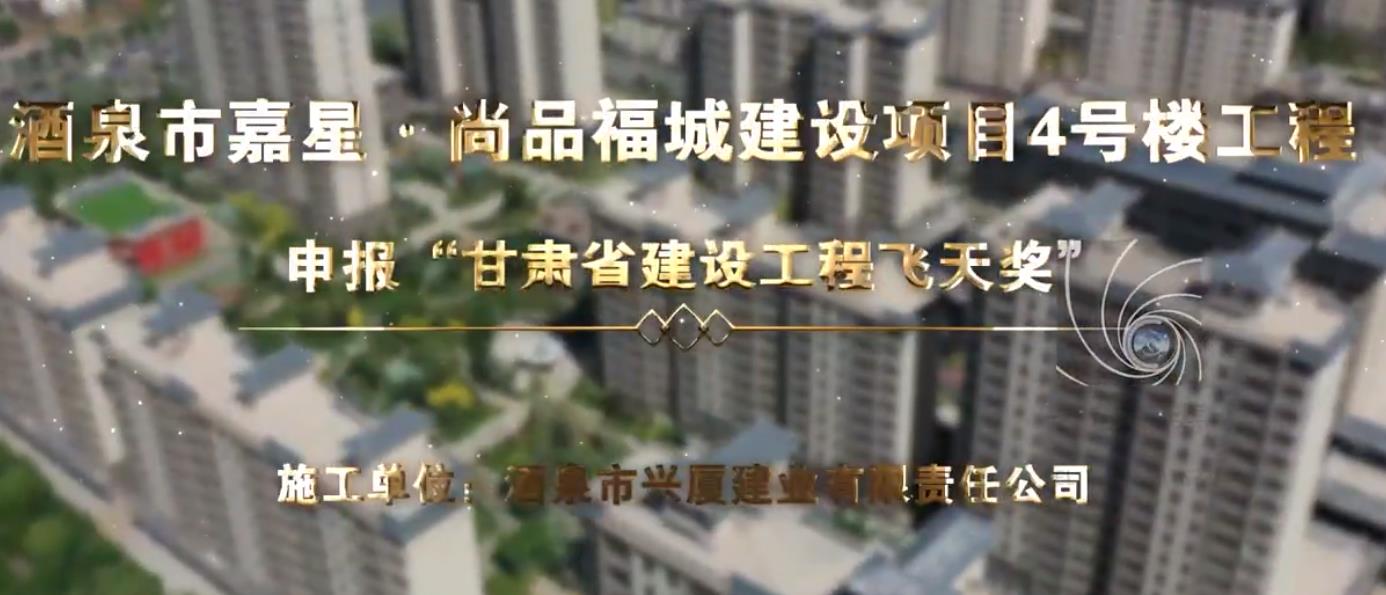 酒泉市嘉星·尚品福城建設項目